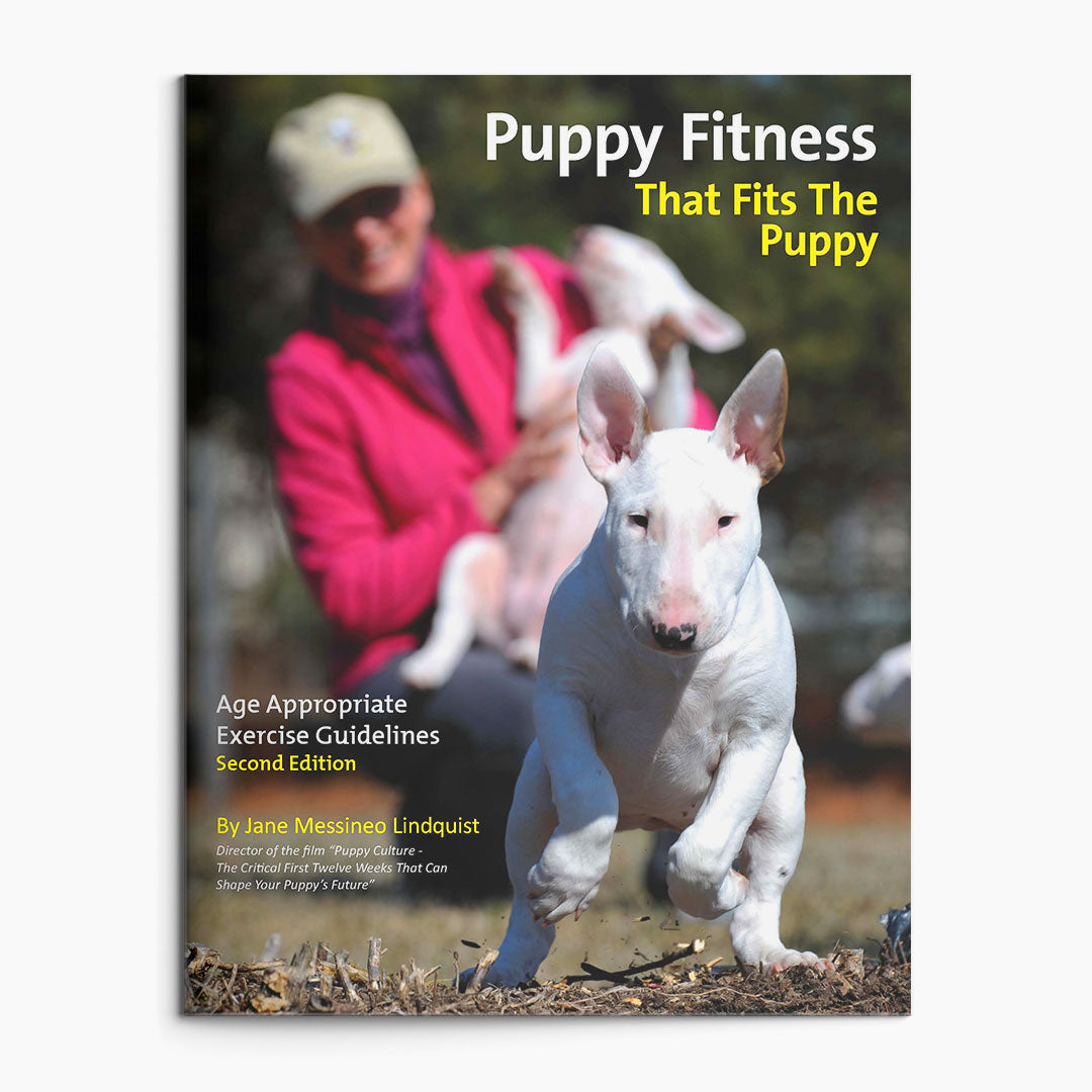 Full Power of Puppy Culture for Breeders