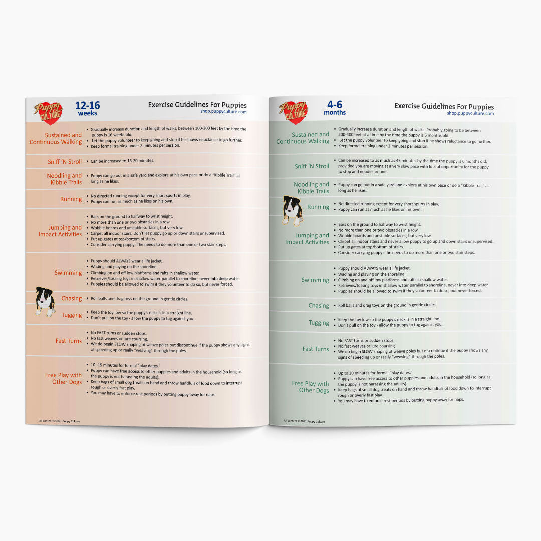 [MJ]Puppy Culture Exercise Booklet