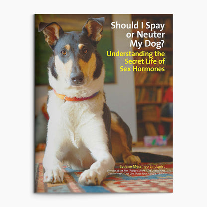 Full Power - For Puppy Owners (Copy) | mo