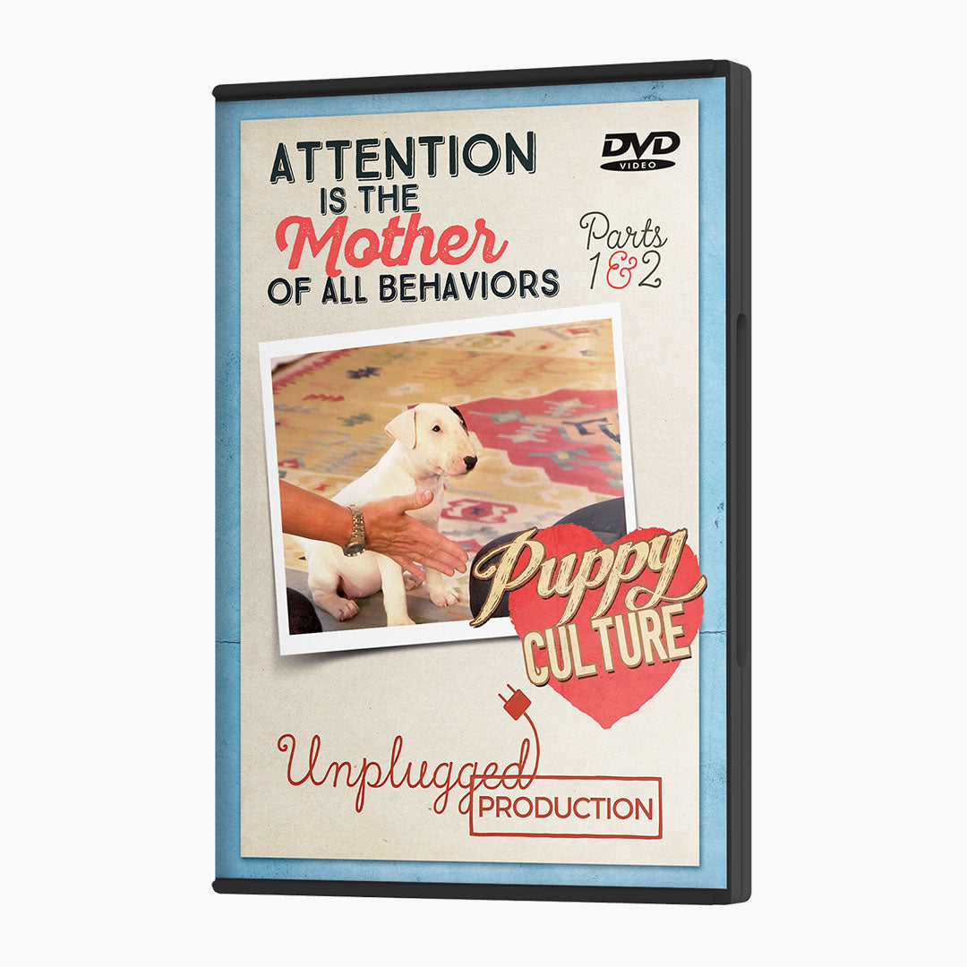 [MJ] Attention Is the Mother of All Behaviors