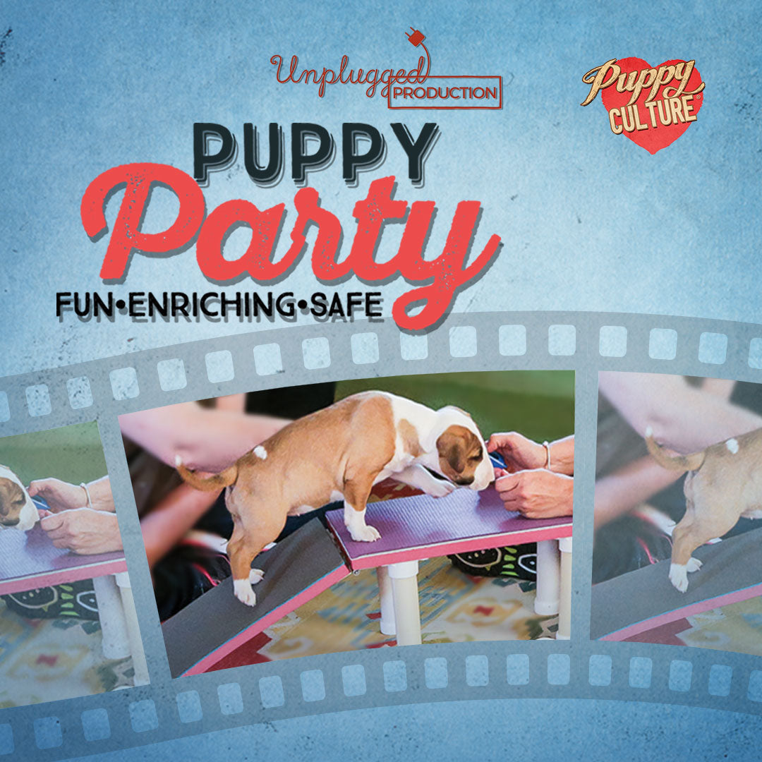 [TEST] Full Power of Puppy Culture for Singletons – Show Package