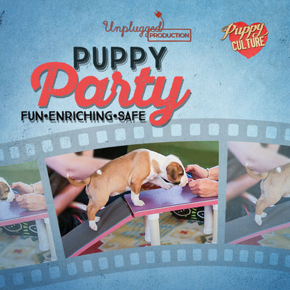 [MJ] Full Power of Puppy Culture for Singletons – Show Package