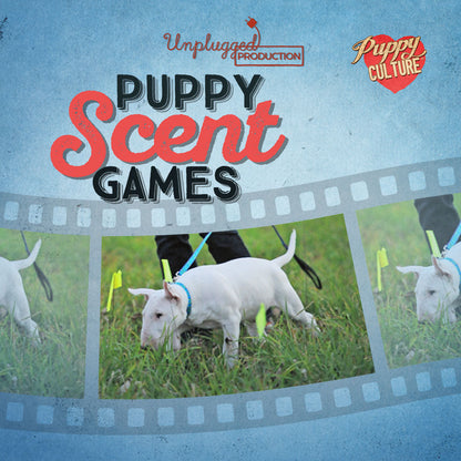 [MJ] Full Power of Puppy Culture for Singletons – Show Package