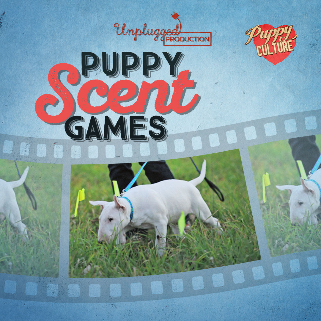 Full Power of Puppy Culture for Breeders