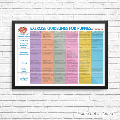 Puppy Culture Age Appropriate Exercise Poster