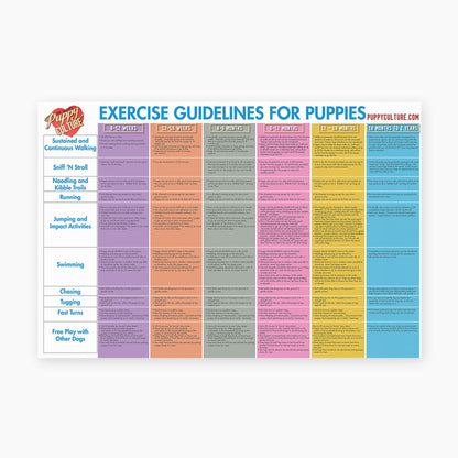 [TEST] Full Power of Puppy Culture for Singletons – Show Package