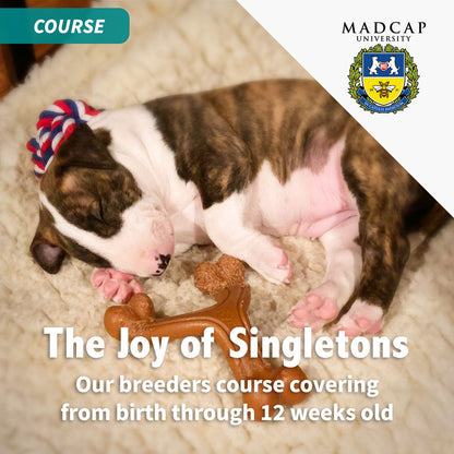 [TEST] Full Power of Puppy Culture for Singletons – Show Package