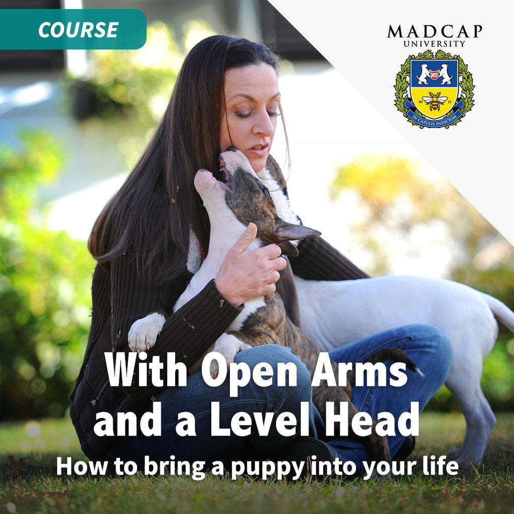 With Open Arms and a Level Head