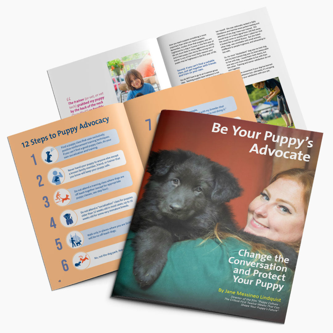 [MJ] Be Your Puppy’s Advocate Booklet