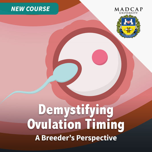 Demystifying  Ovulation Timing